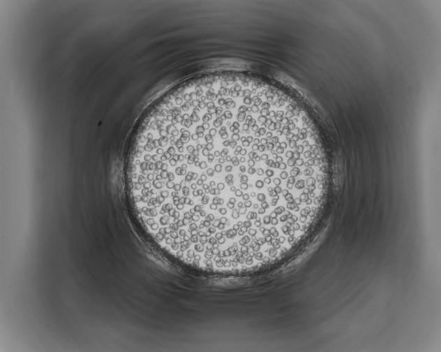 X0000108481113200905151217