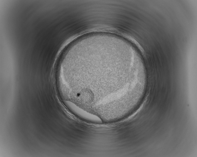 X0000108481114200905151217