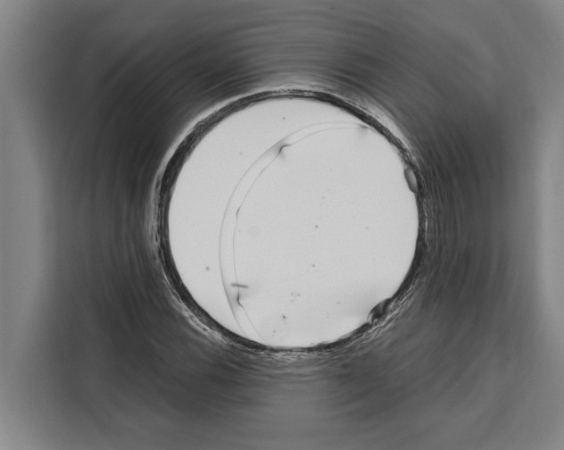 X0000108481116200905151217