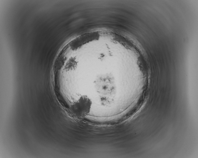 X0000108481117200905151217