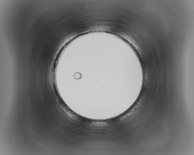 X0000108481119200905151217