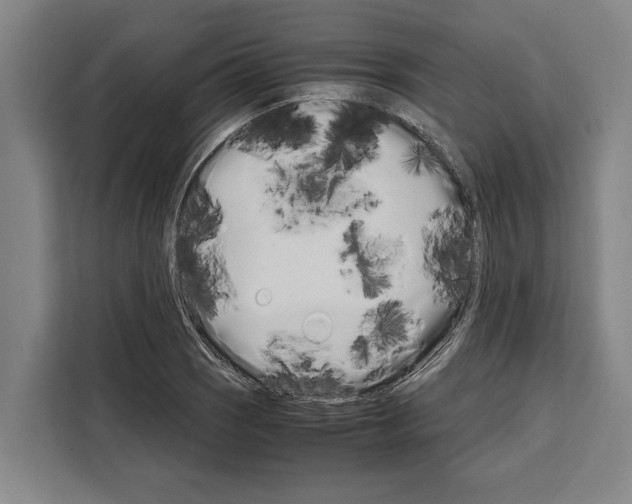 X0000108481121200905151217