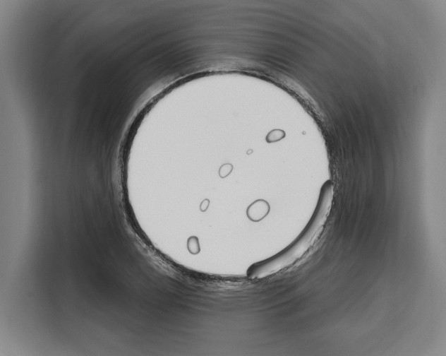 X0000108481122200905151217