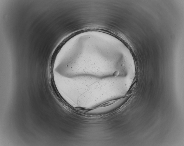 X0000108481124200905151217