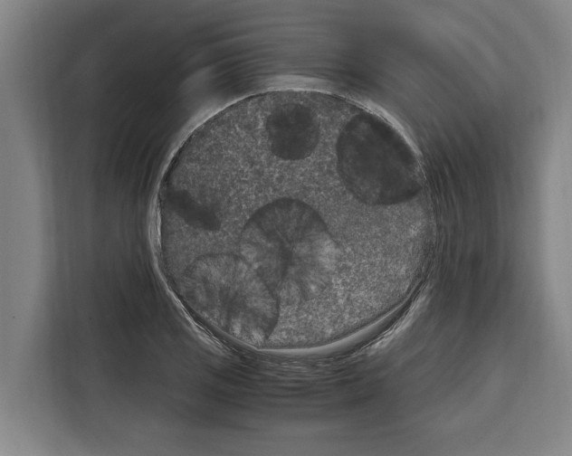 X0000108481125200905151217