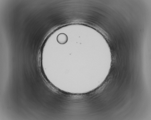 X0000108481126200905151217
