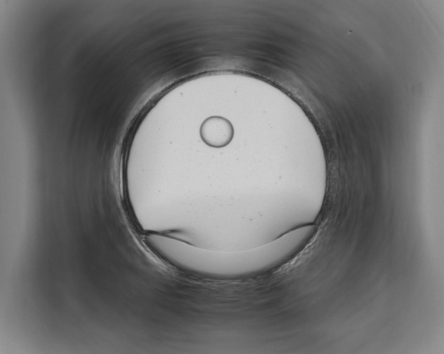 X0000108481127200905151217