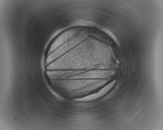 X0000108481128200905151217