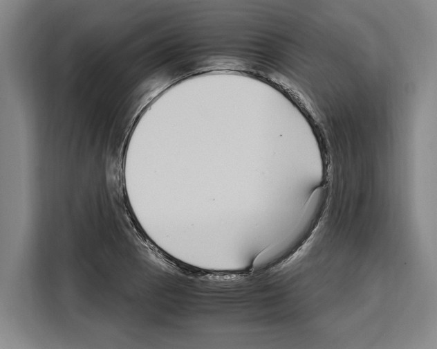 X0000108481129200905151217