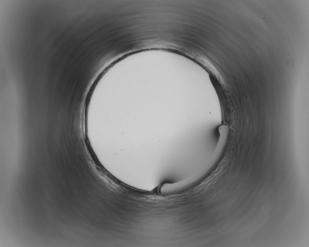 X0000108481132200905151217