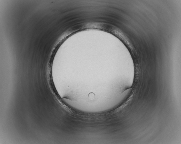 X0000108481133200905151217