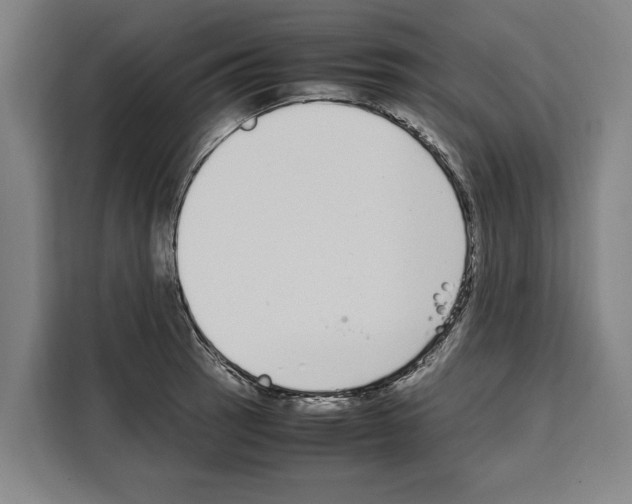 X0000108481137200905151217