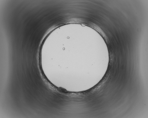 X0000108481138200905151217