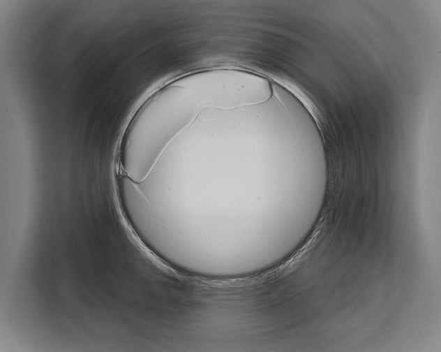 X0000108481142200905151218