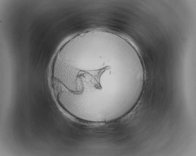 X0000108481143200905151218