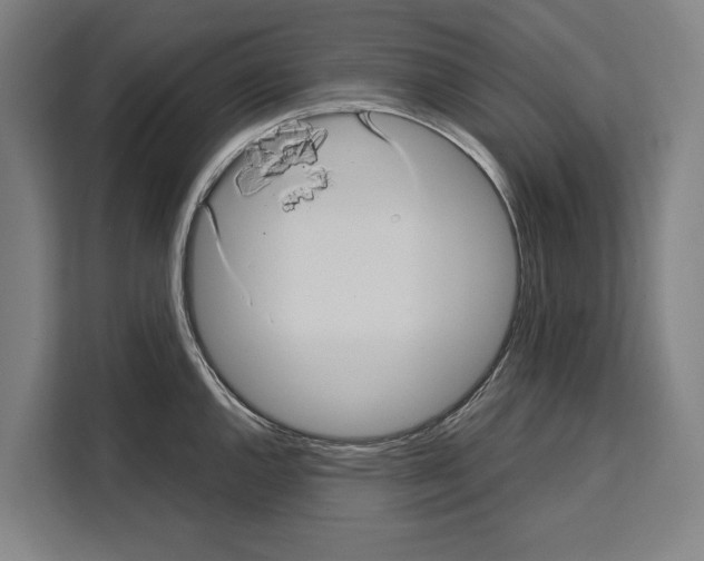 X0000108481144200905151218