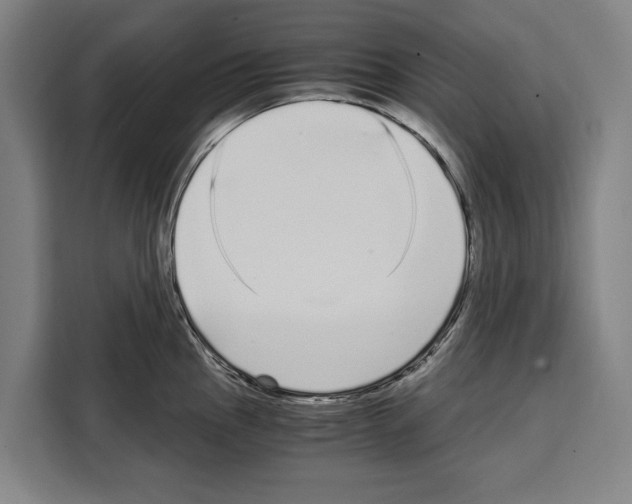 X0000108481145200905151218