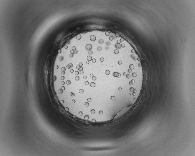 X0000108481151200905151218