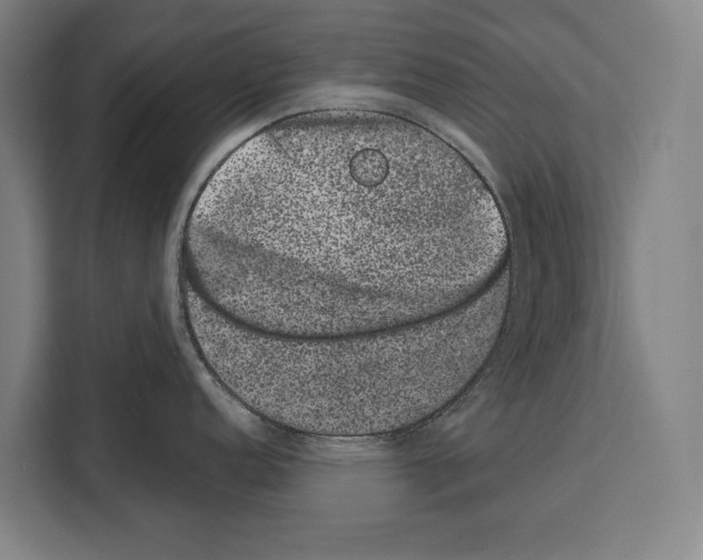 X0000108481152200905151218