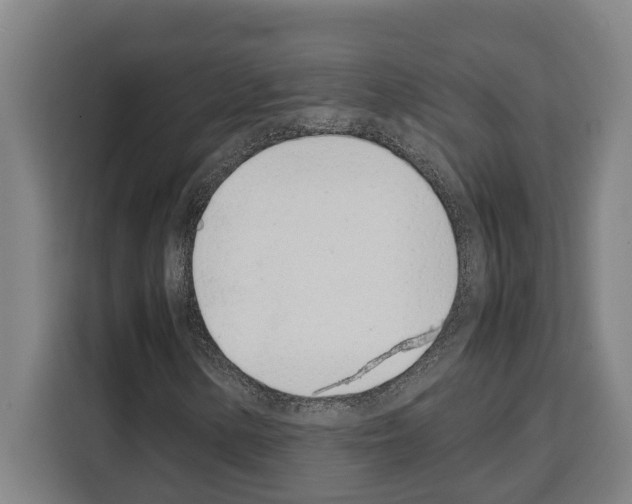 X0000108481154200905151217