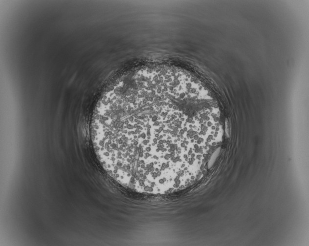X0000108481155200905151217