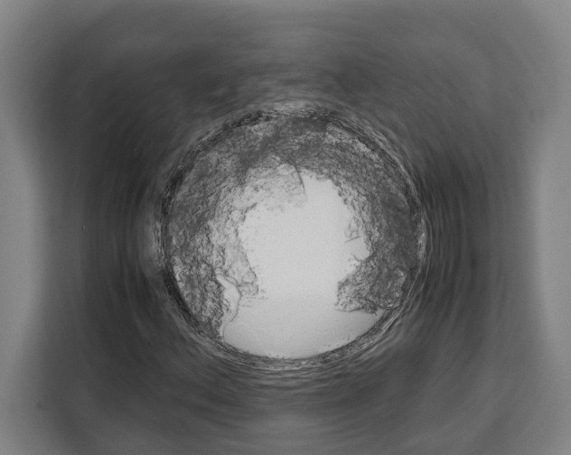 X0000108481156200905151217