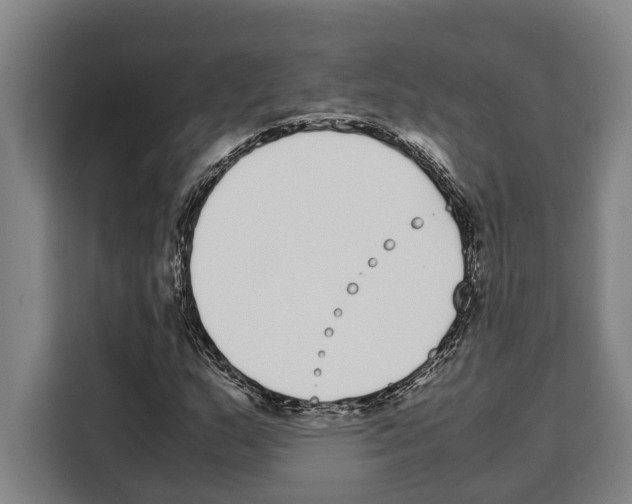 X0000108481159200905151217