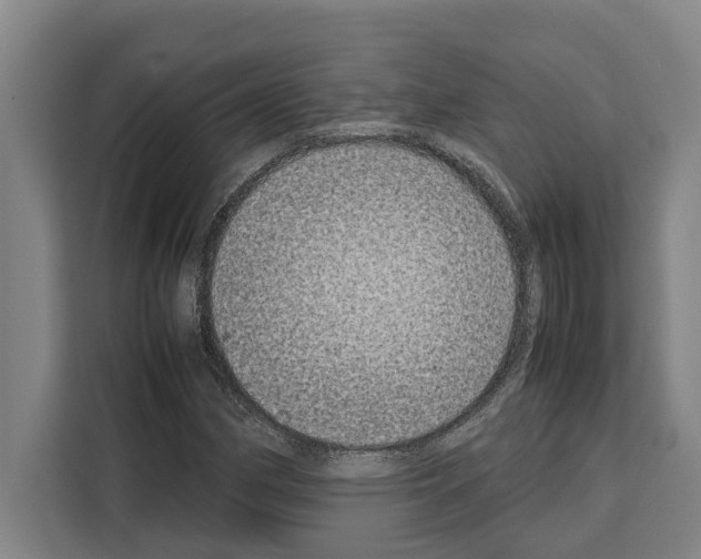 X0000108481162200905151217