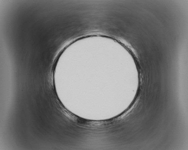 X0000108481167200905151217