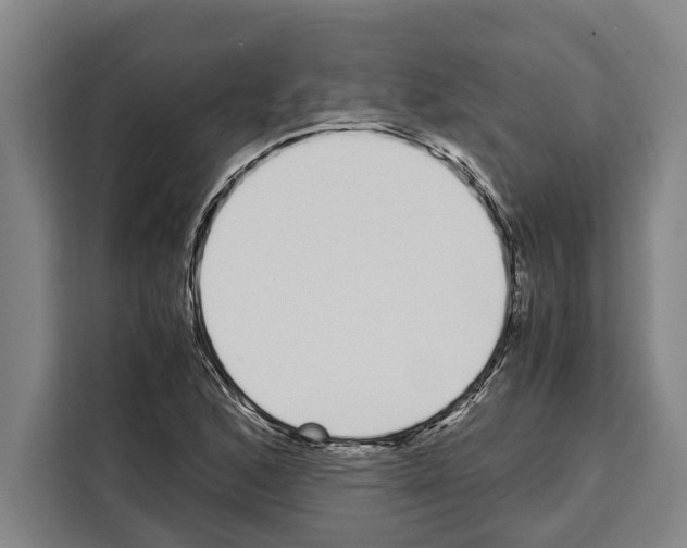 X0000108481168200905151217