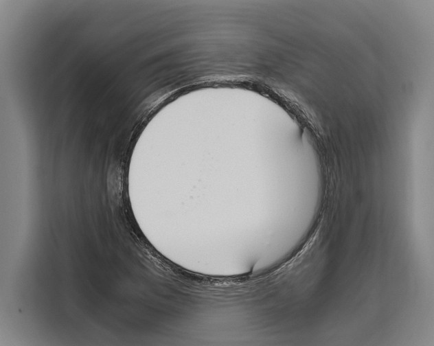 X0000108481169200905151217