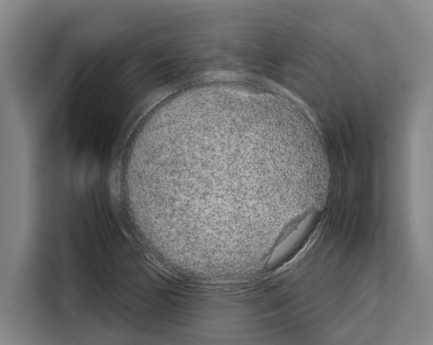 X0000108481170200905151217