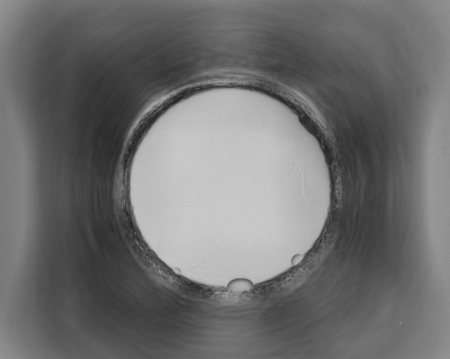 X0000108481172200905151217