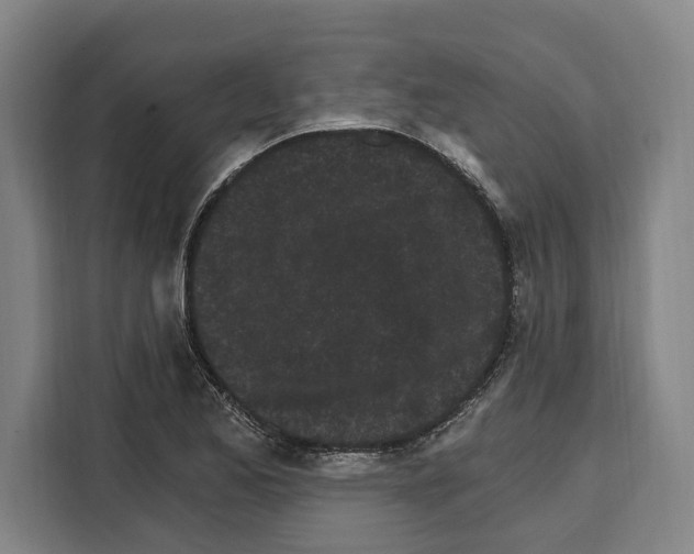 X0000108481173200905151217