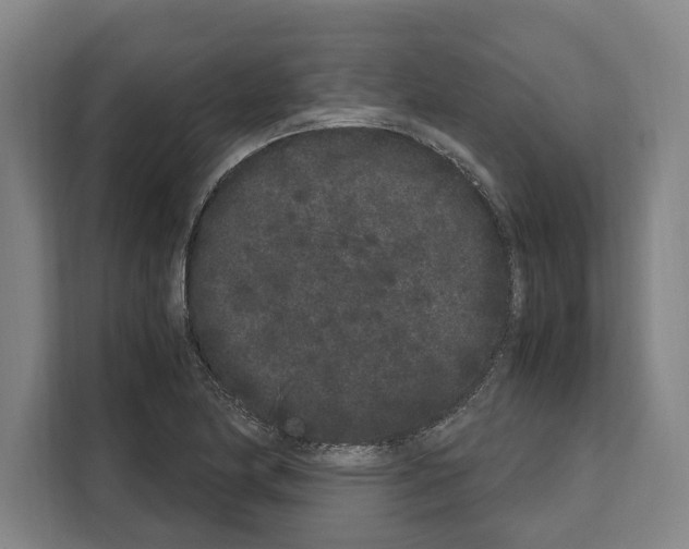 X0000108481174200905151217