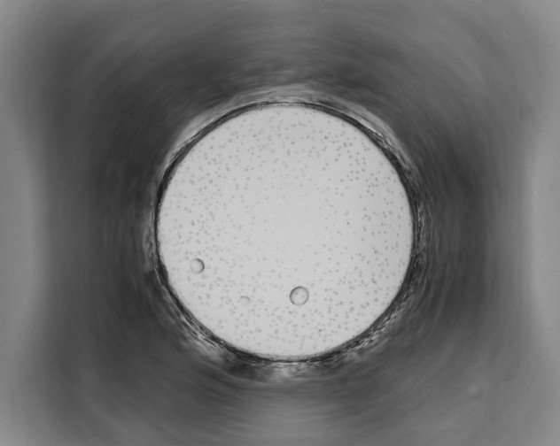 X0000108481176200905151217