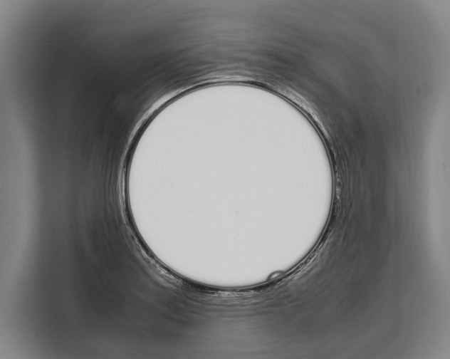 X0000108481179200905151217