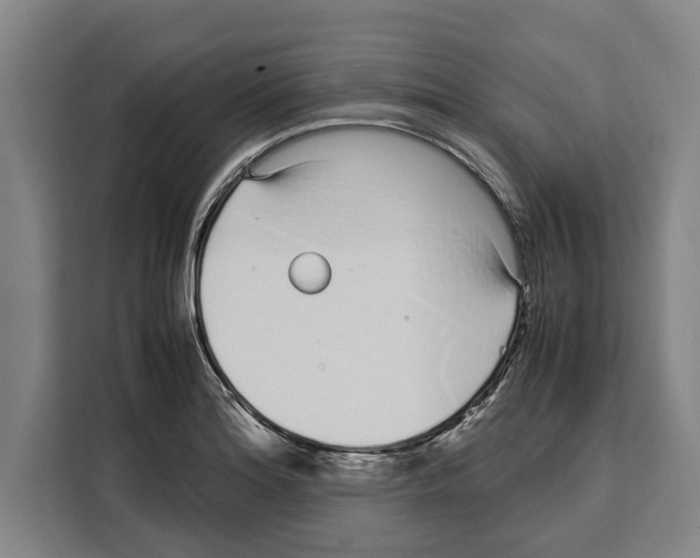 X0000108481180200905151217