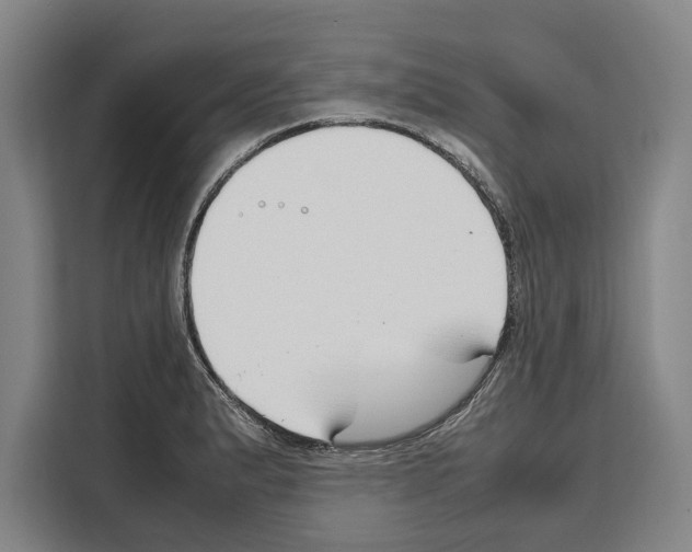 X0000108481183200905151217