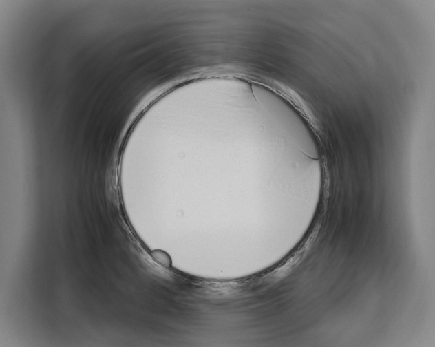 X0000108481184200905151217