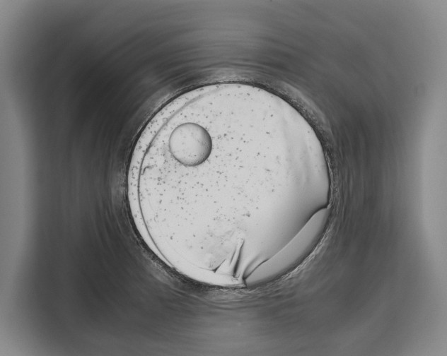 X0000108481185200905151217