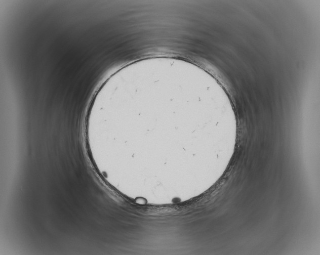 X0000108481187200905151217