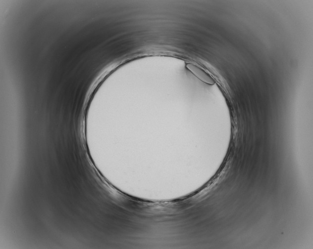 X0000108481188200905151217