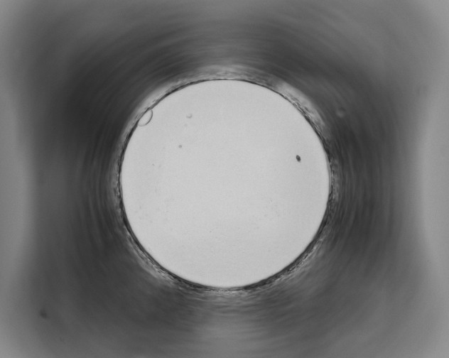 X0000108481192200905151217