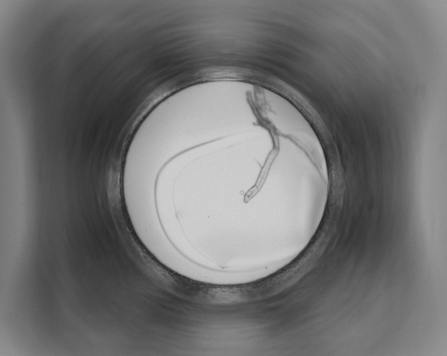 X0000108481194200905151217