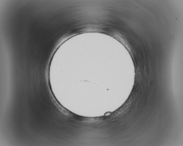 X0000108481195200905151216