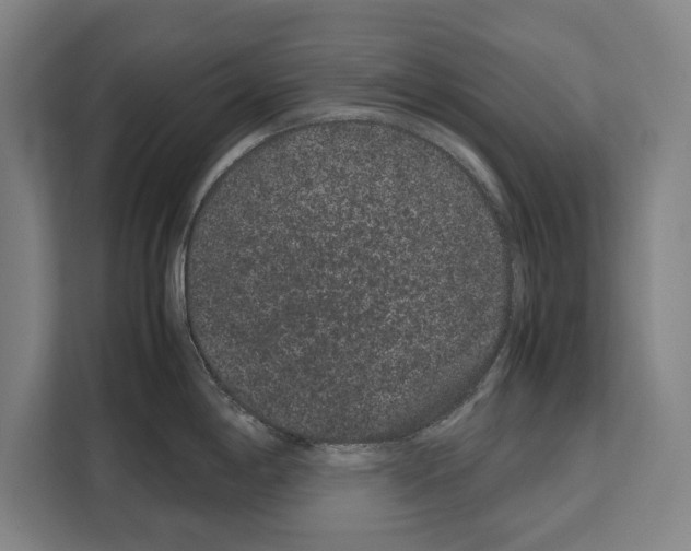 X0000108481198200905151216
