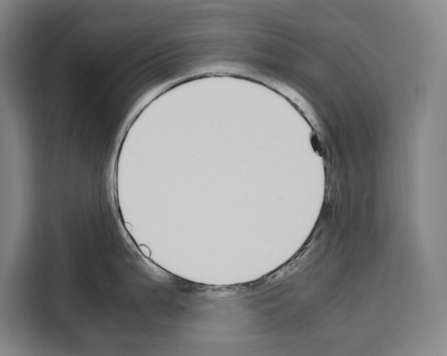 X0000108481199200905151216
