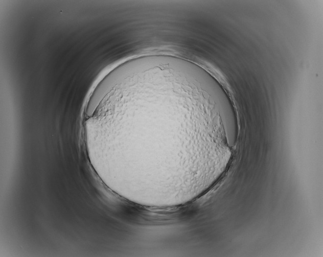 X0000108481200200905151216