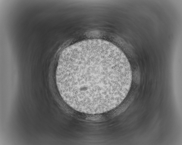 X0000108481201200905151216